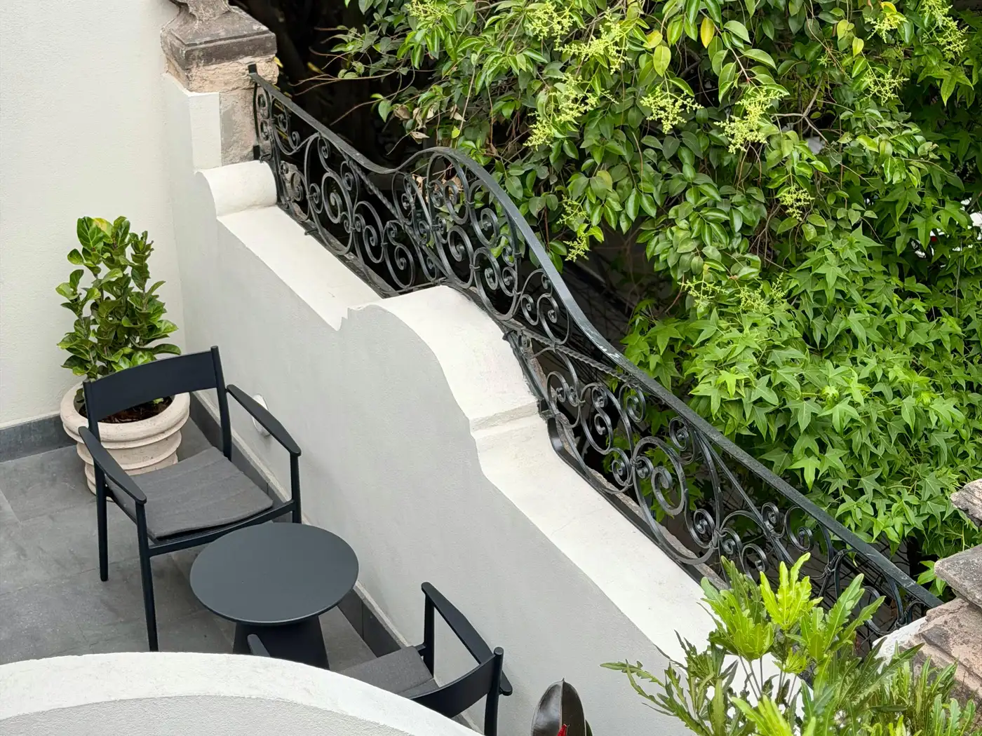 Where to Stay in Mexico City: A Neighborhood Guide for First-Time Visitors